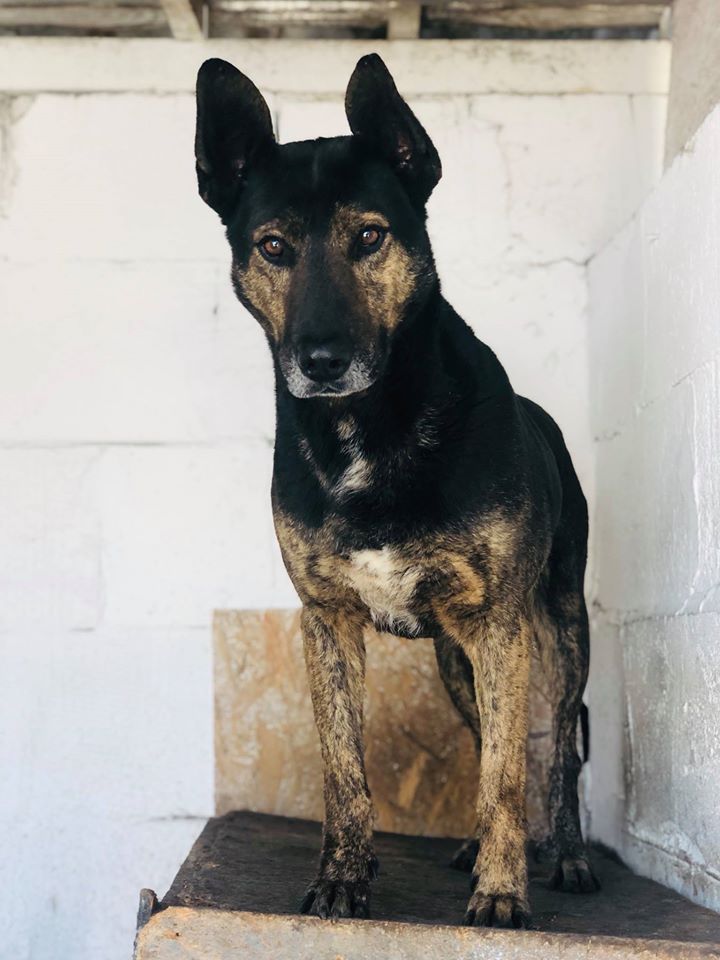 MOSES / reserviert 🐾